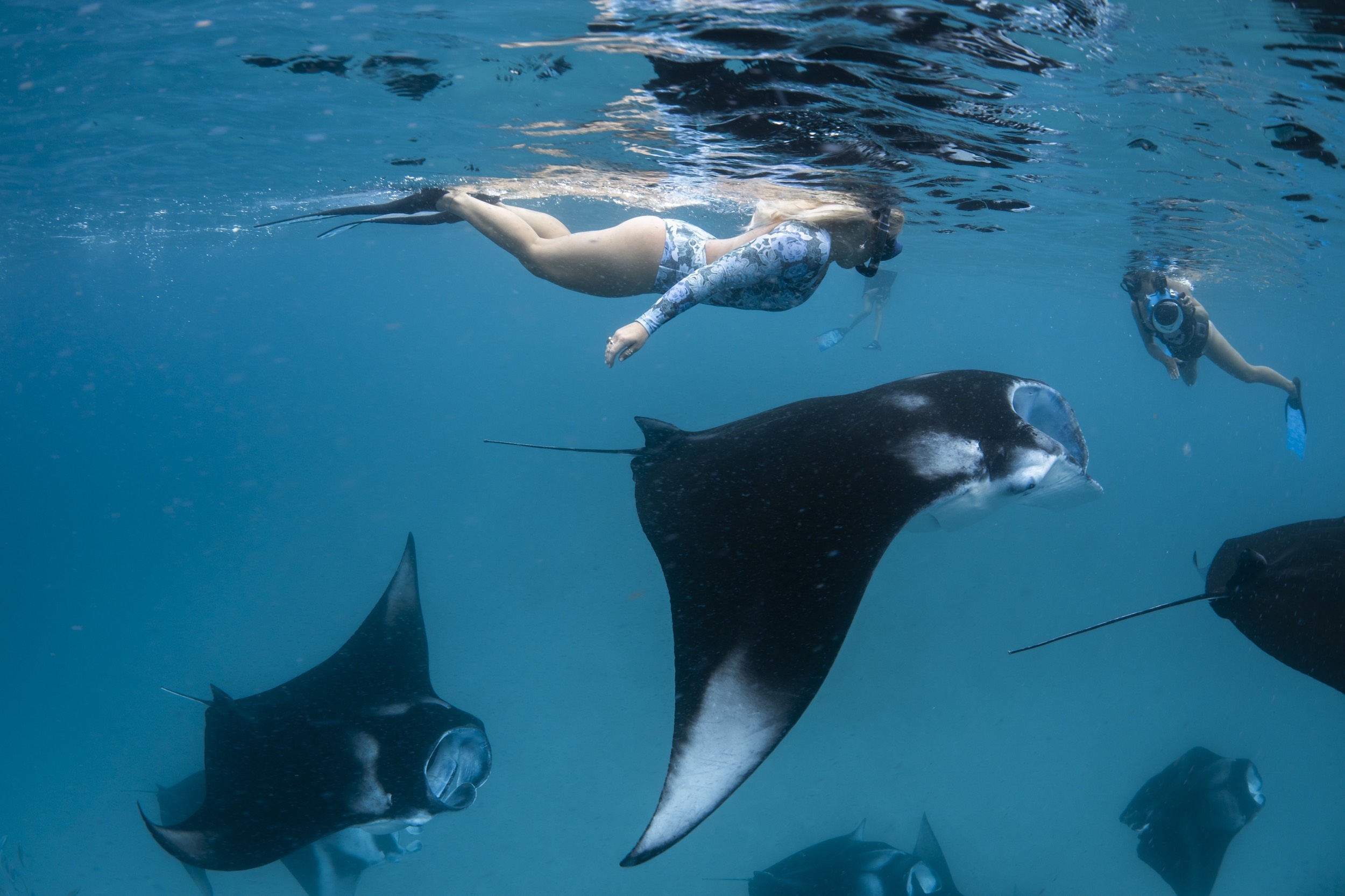 Maldives bucket list things to do swim with manta rays